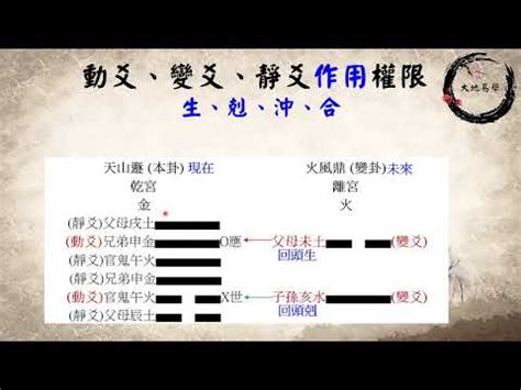 動爻|易學象數論/動爻